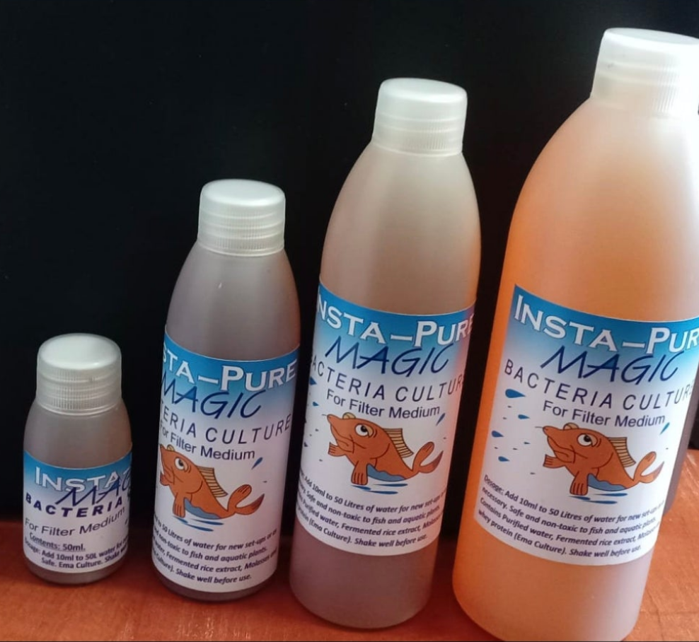 Insta Pure Bacteria 500ml