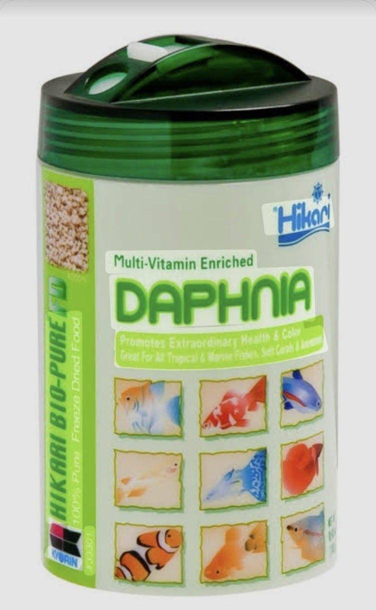 Hikari Freeze Dried Daphina 12g