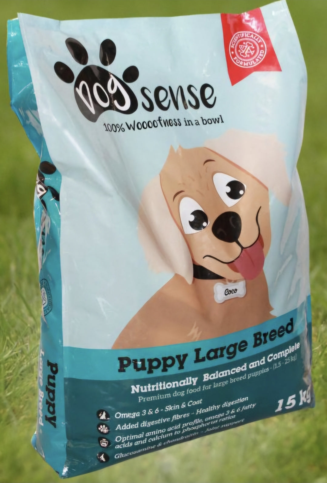 Large Breed Puppy (Coco)