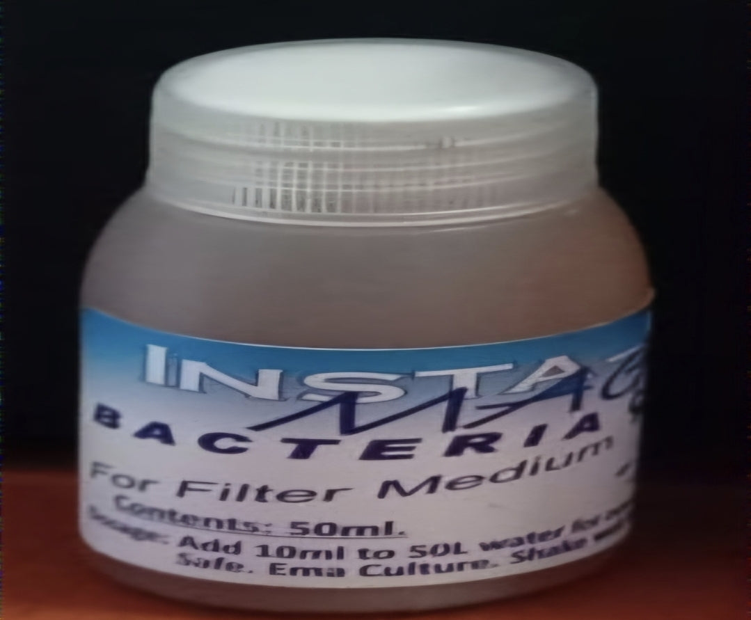 Insta Pure Bacteria 50ml