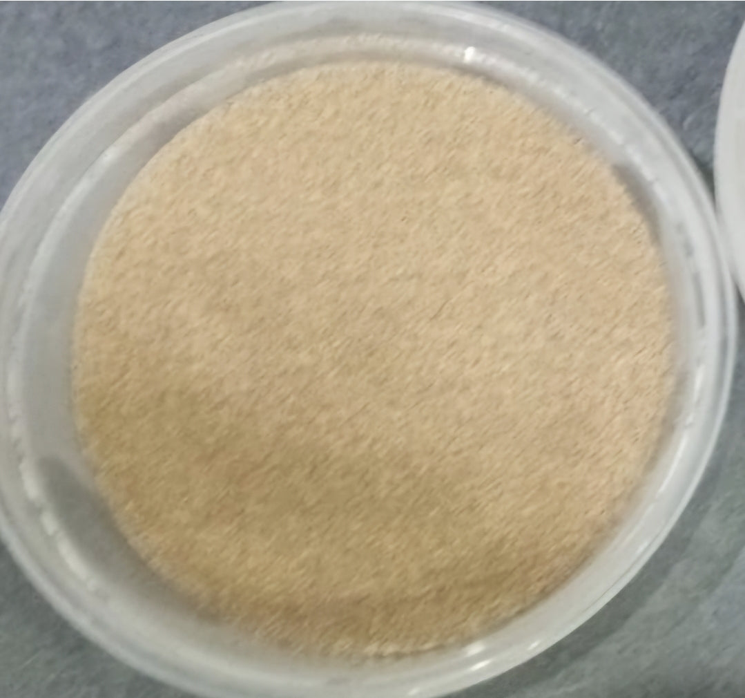 Brine Shrimp Eggs per 10g