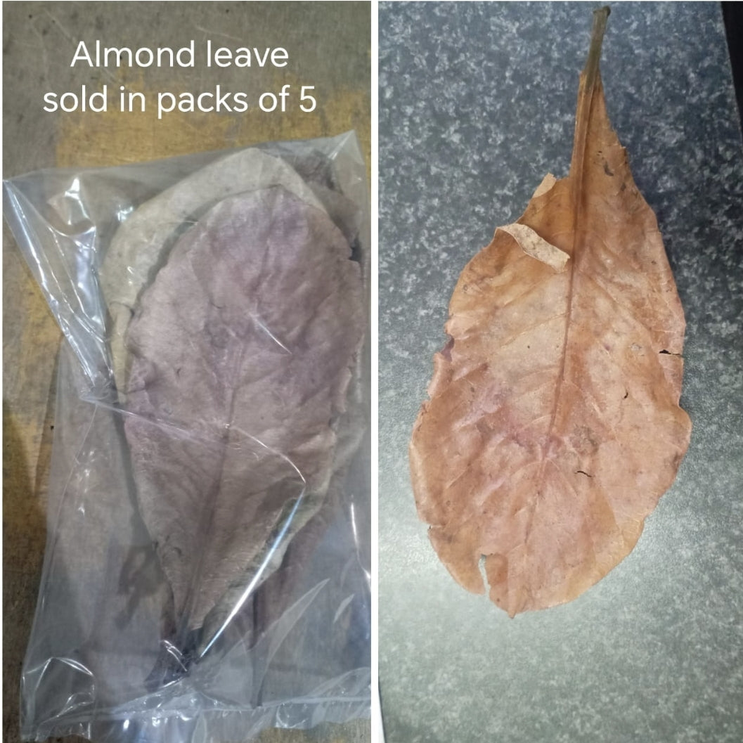 Almond Leaves whole pack of 5