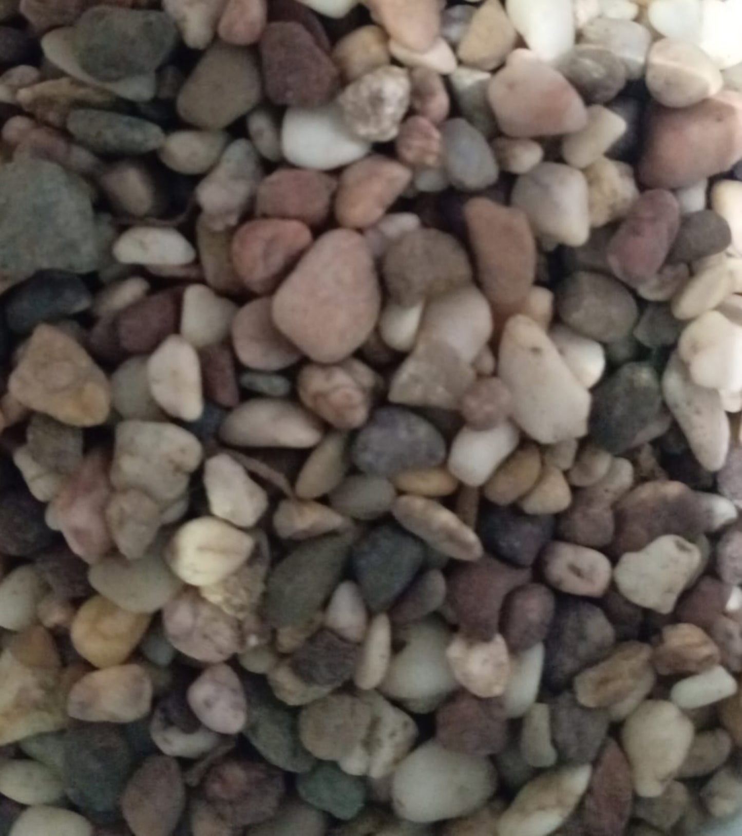 Mixed river pebble